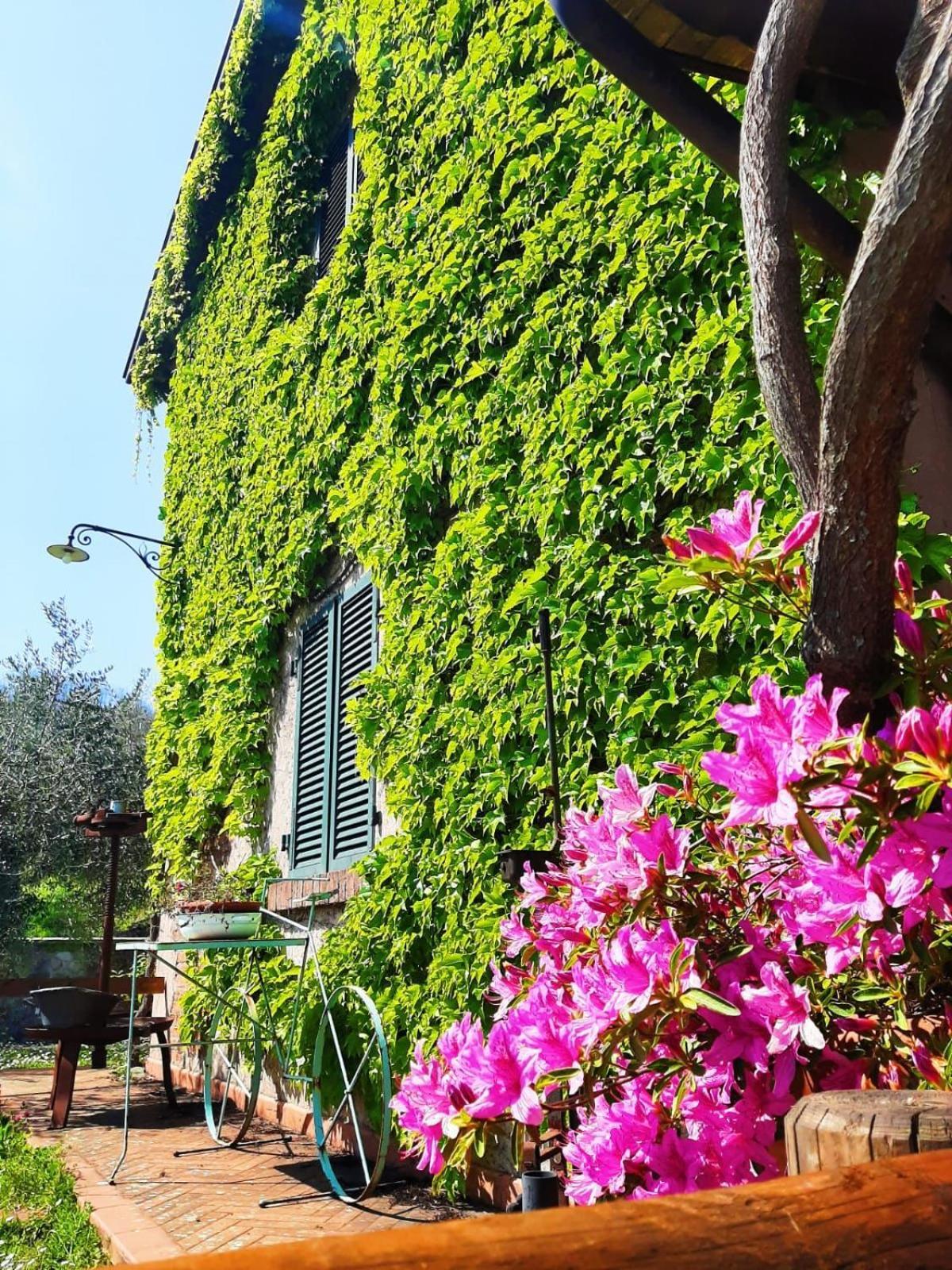 Agriturismo Ca Di Rossi Βίλα Mulazzo Εξωτερικό φωτογραφία